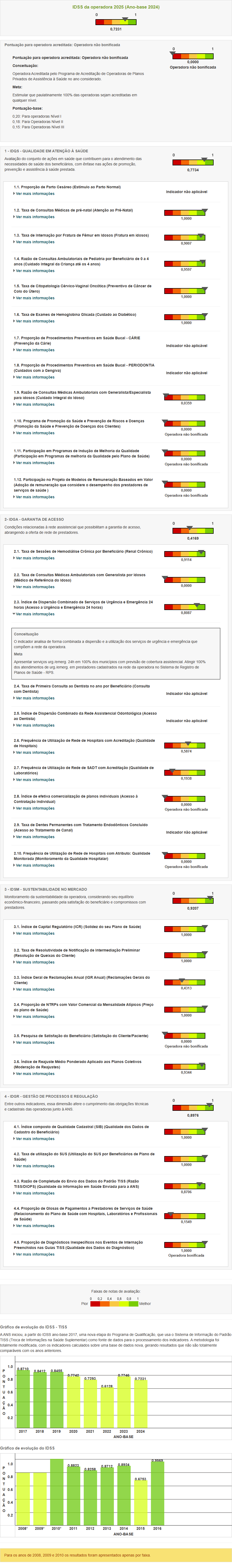 Relat�rio IDSS 2025